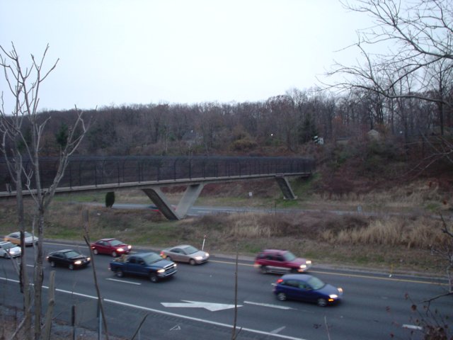 appalachaintrailbridgeover495.jpg